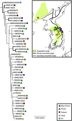 Phylogenetic Systematics of the Water Toad (Bufo stejnegeri) Elucidates the Evolution of Semi-aquatic Toad Ecology and Pleistocene Glacial Refugia